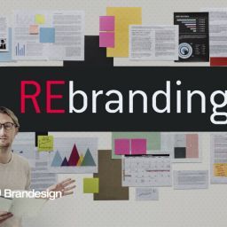 re branding articulo restyling