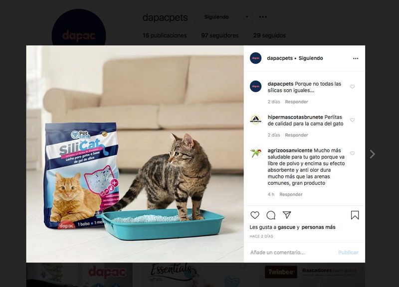 produccion de creatividades y branded content en instagram para tu marca