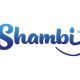 marca shambi Diseño de logotipo logos para tu empresa estudio de diseño madrid branding identidad corporativa