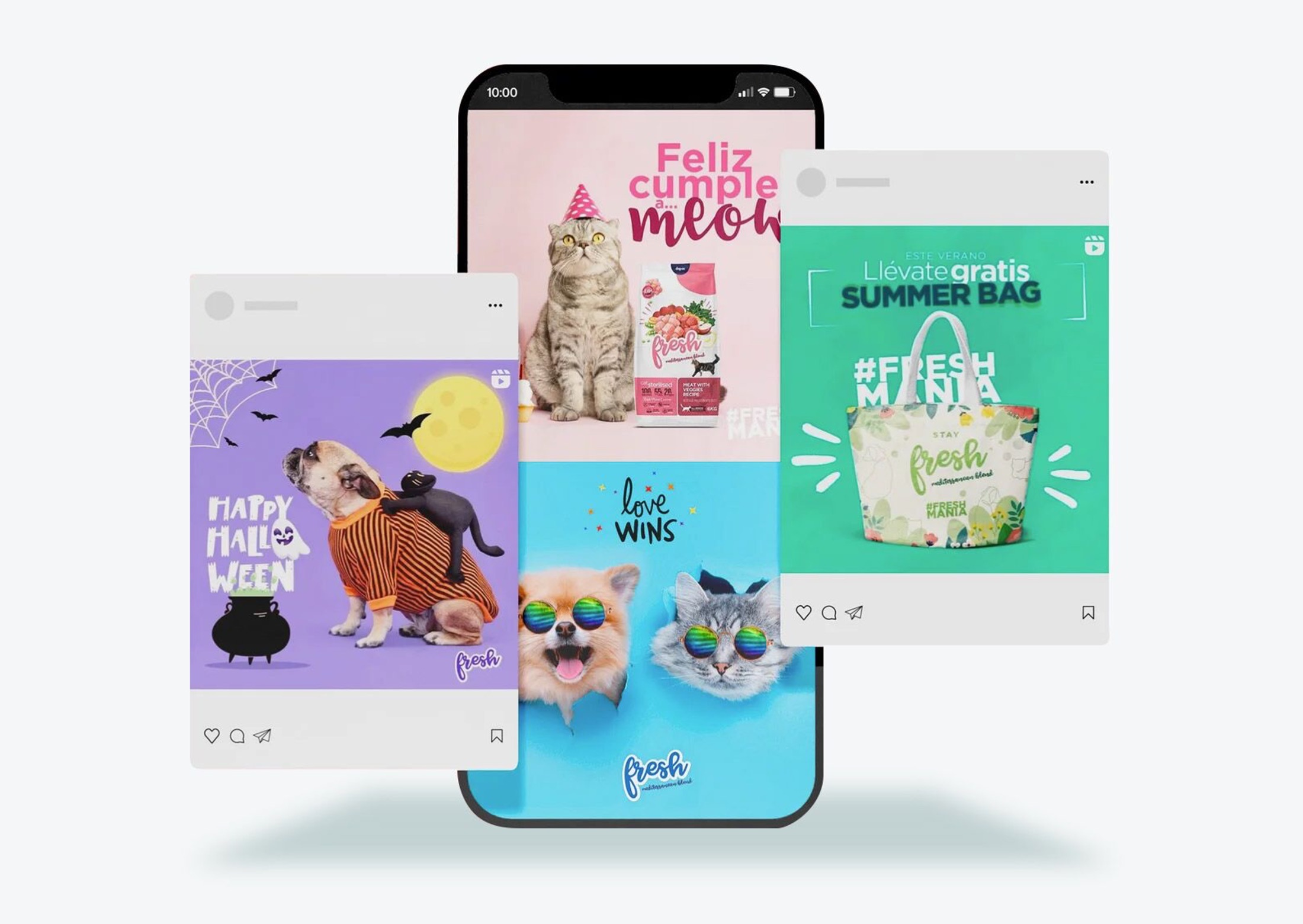 diseño de contenido organico para instagram