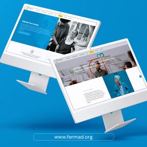 agencia-web-pagina-web-gubernamental-ong-org-fermad-sin-fines-de-lucro