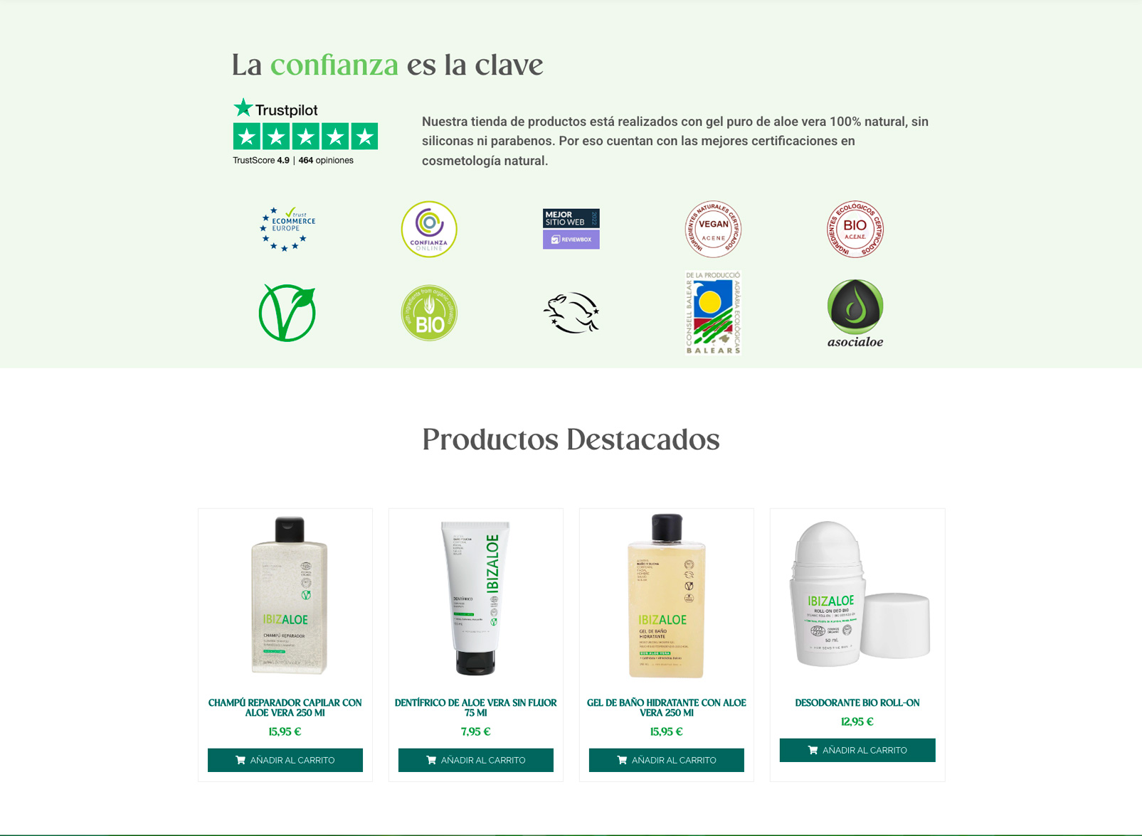 Del Frustración al Éxito: La Historia de IbizaLoe con Brandesign Cómo una Auditoría Web Cambió el Destino de IbizaLoe