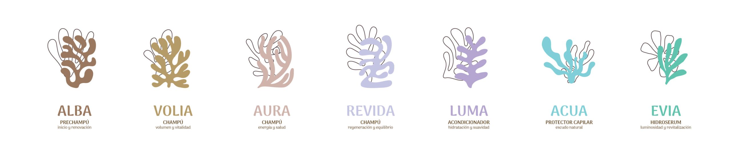 Exploración de diseño de packaging NHC – Agencia Brandesign Madrid Exploración de propuestas de diseño para la línea de champús y tratamientos NHC creada por Brandesign.