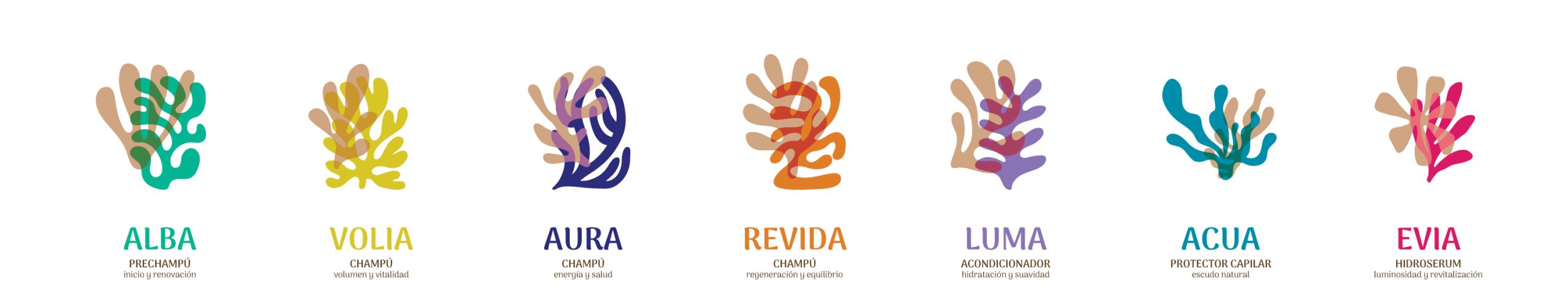 Proceso de diseño de envases cosméticos NHC – Brandesign Proceso creativo de Brandesign para desarrollar el nuevo sistema gráfico de envases cosméticos NHC.