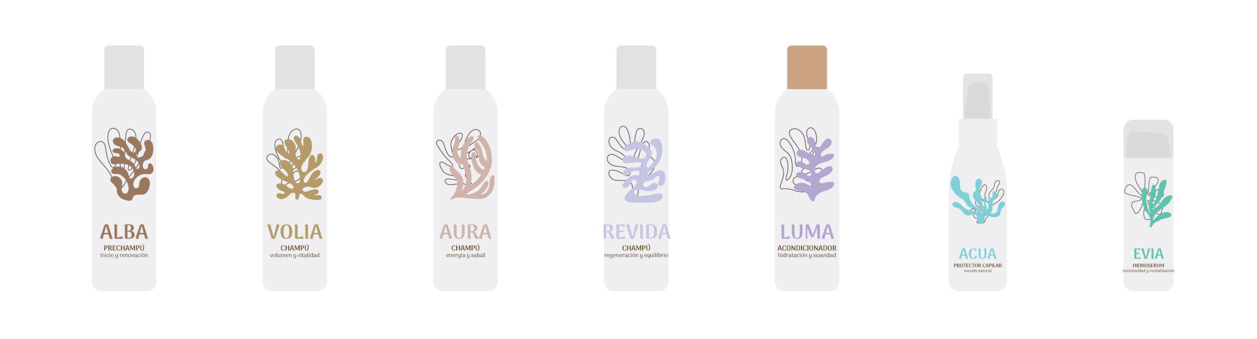 Paletas de color para packaging capilar NHC – Diseño Brandesign Estudio de paletas de color para la diferenciación visual de champús y tratamientos NHC.