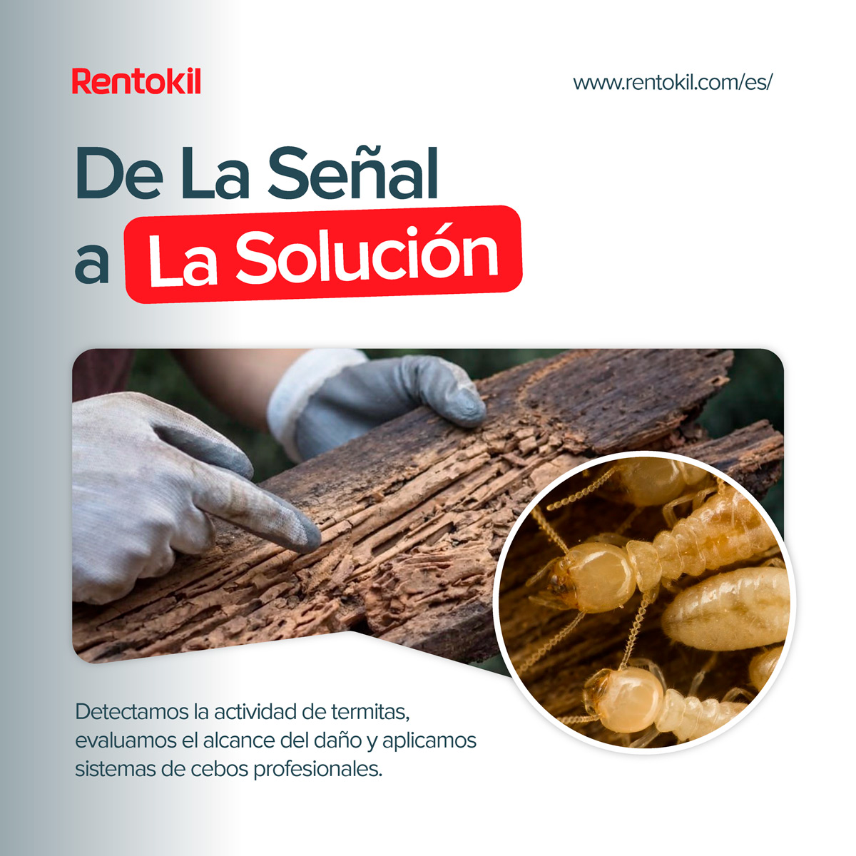 diseño de banners para campañas de Performance Max