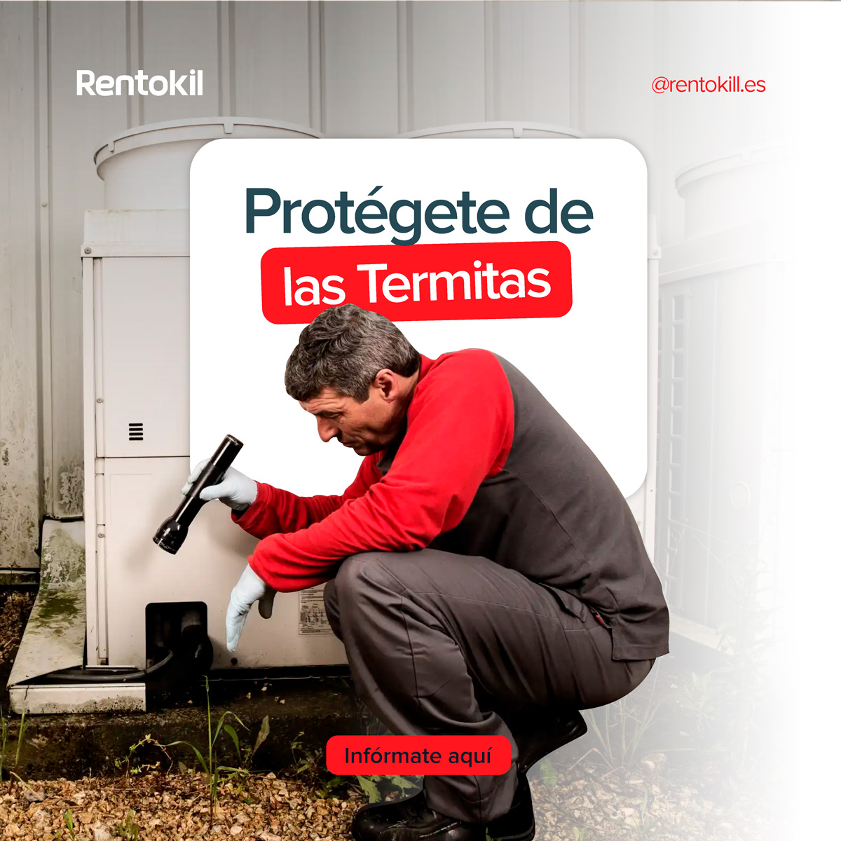 Creatividad digital para marketing