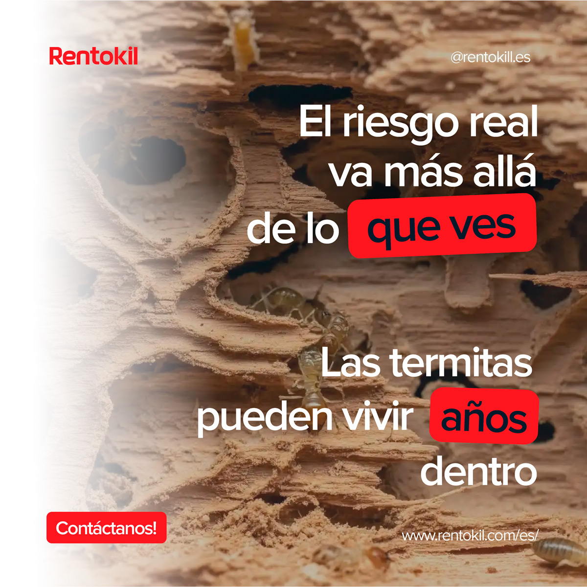 diseño de banners para campañas de Performance Max