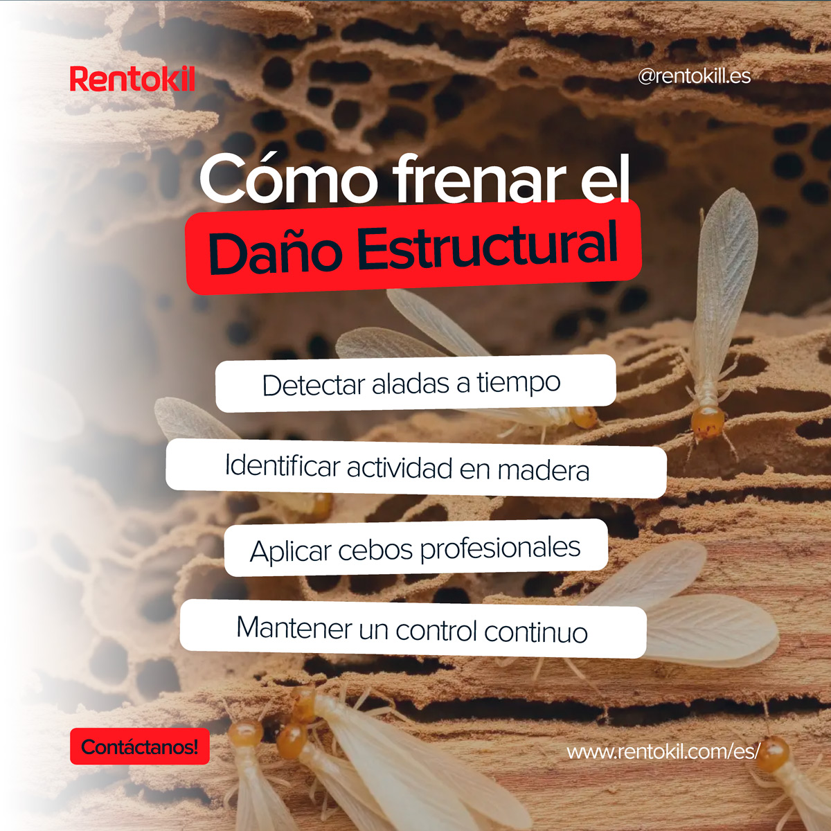 Creatividad digital para marketing