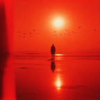 magnific__symbolic-transformation-imagery-minimalist-silhoue__45477